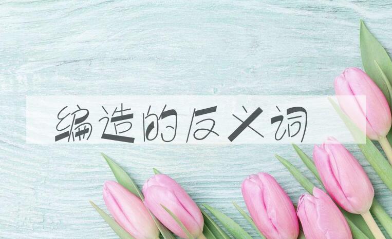用编造造句