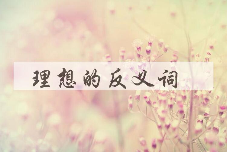 用理想造句
