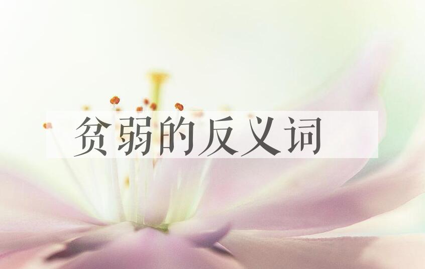 用贫弱造句