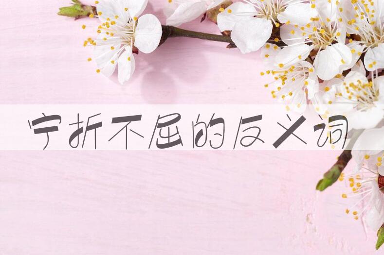 用宁折不屈造句