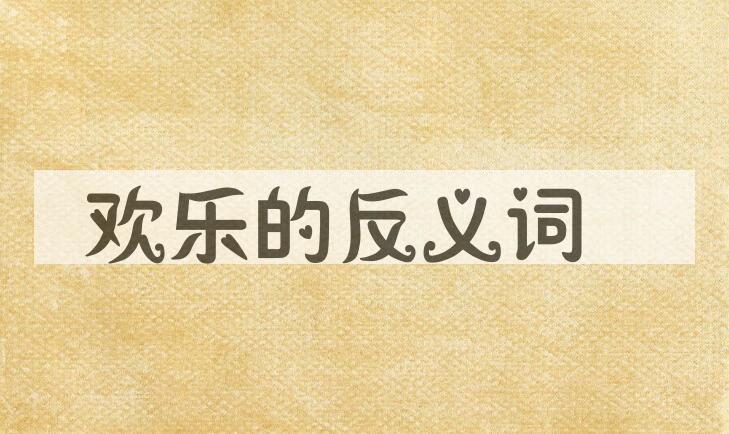用欢乐造句