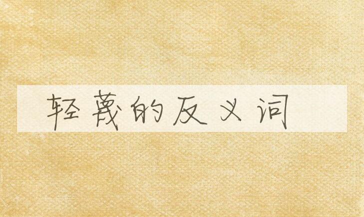 用轻蔑造句