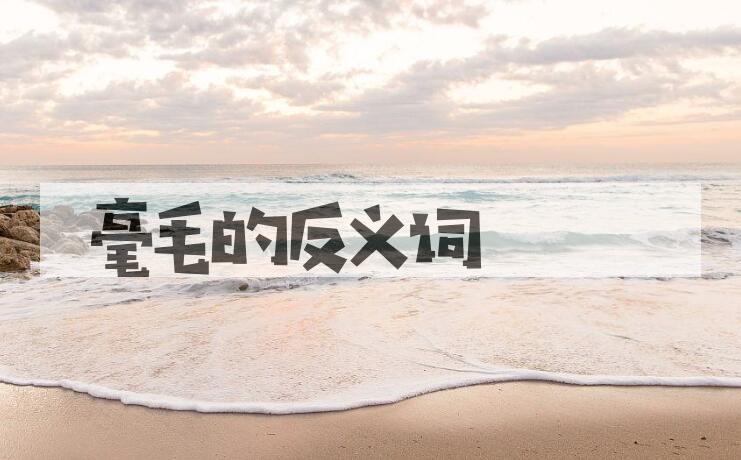 用毫毛造句