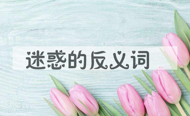 用迷惑造句