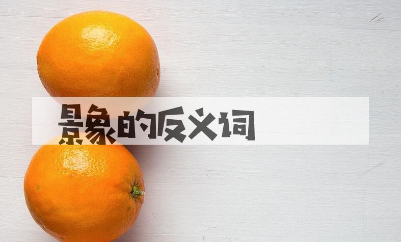 用景象造句