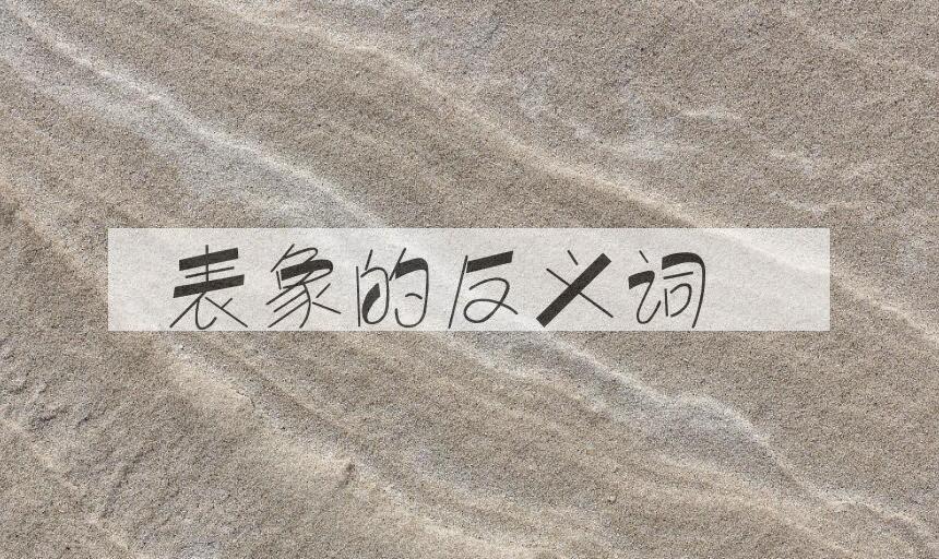 用表象造句