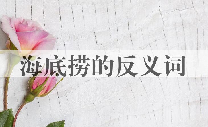 用海底捞造句