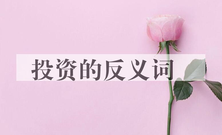 用投资造句