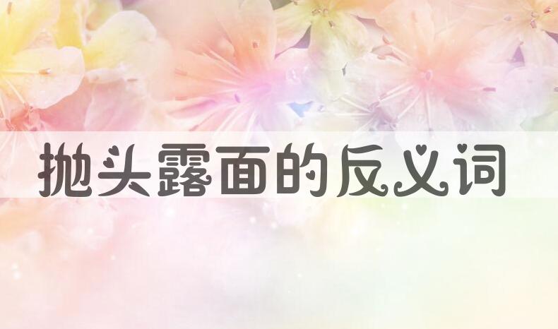 用抛头露面造句