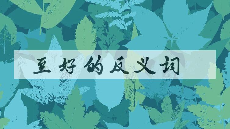 用至好造句