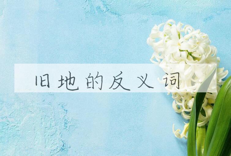 用旧地造句