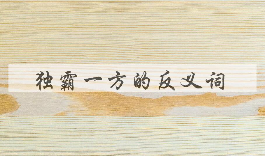 用独霸一方造句