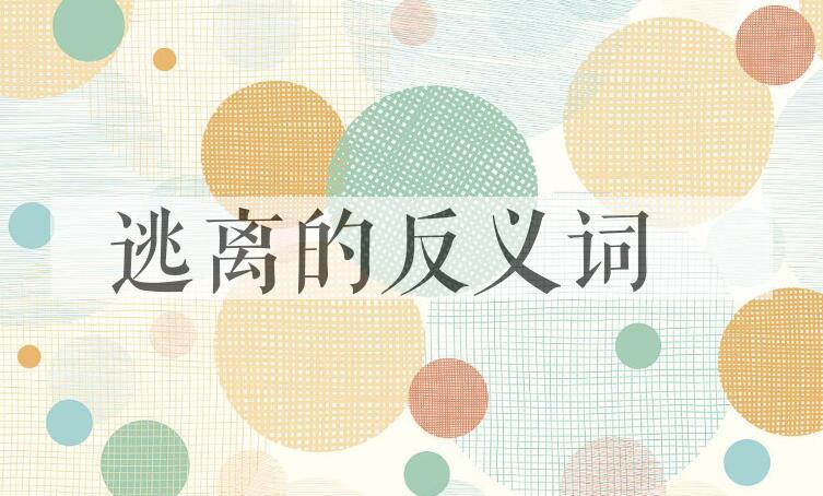 用逃离造句
