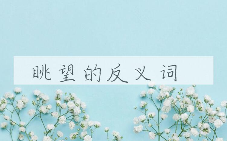 用眺望造句