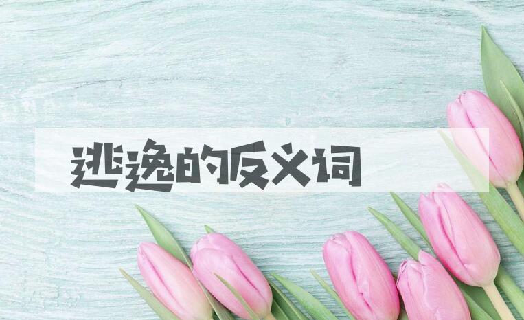 用逃逸造句