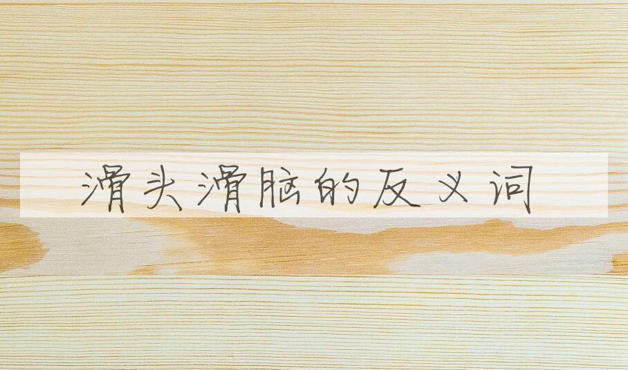 用滑头滑脑造句