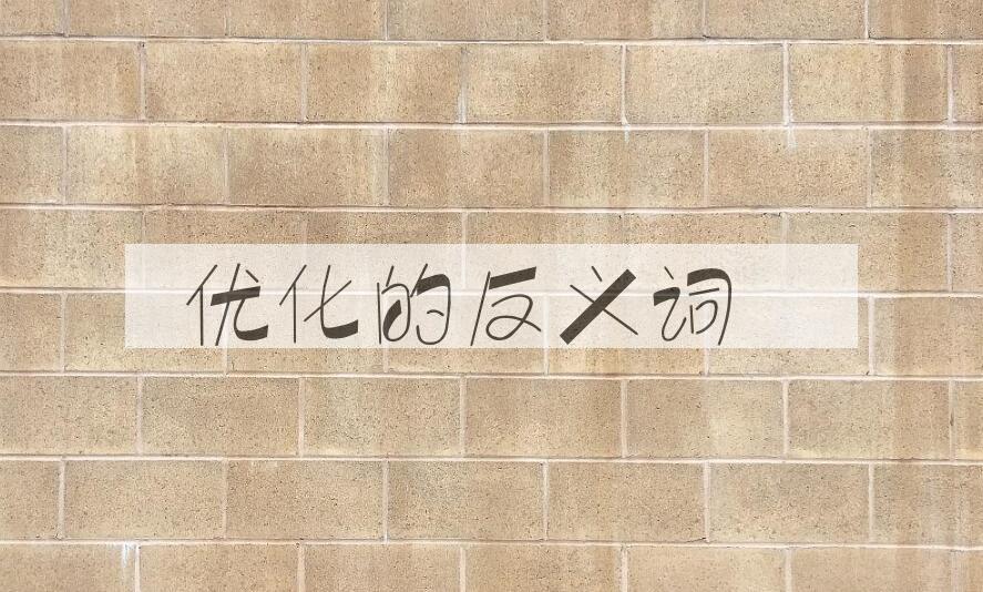 用优化造句