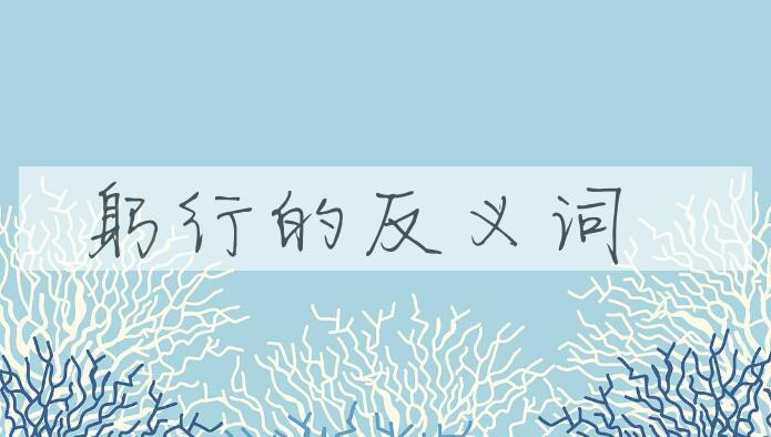 用躬行造句
