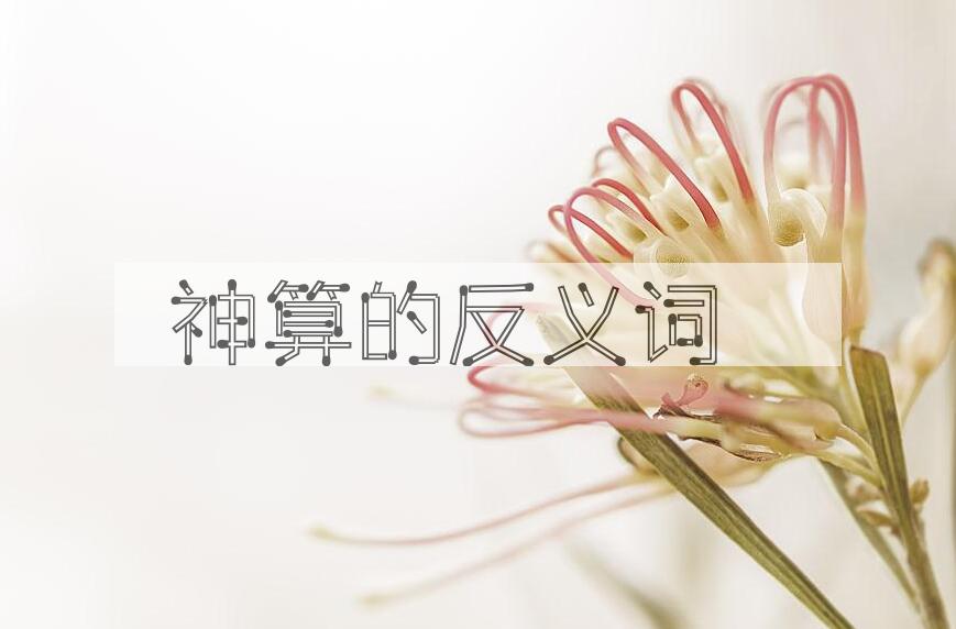 用神算造句