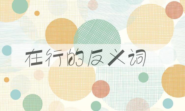 用在行造句