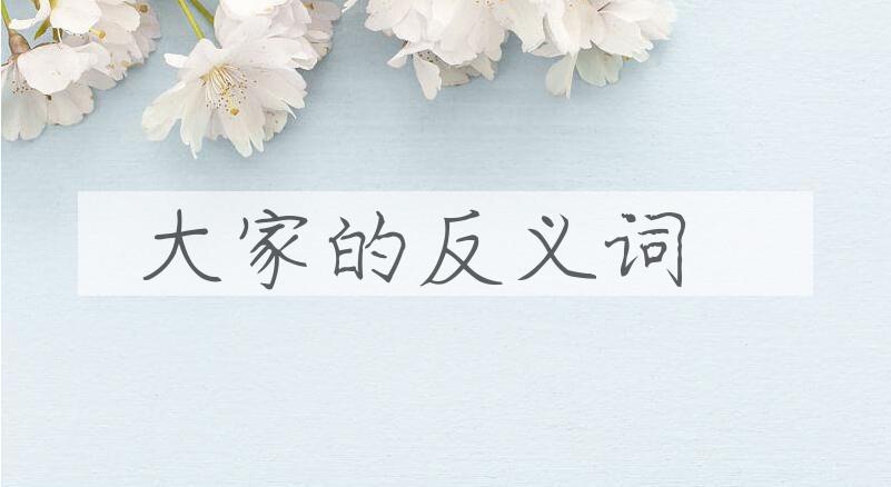 用大家造句