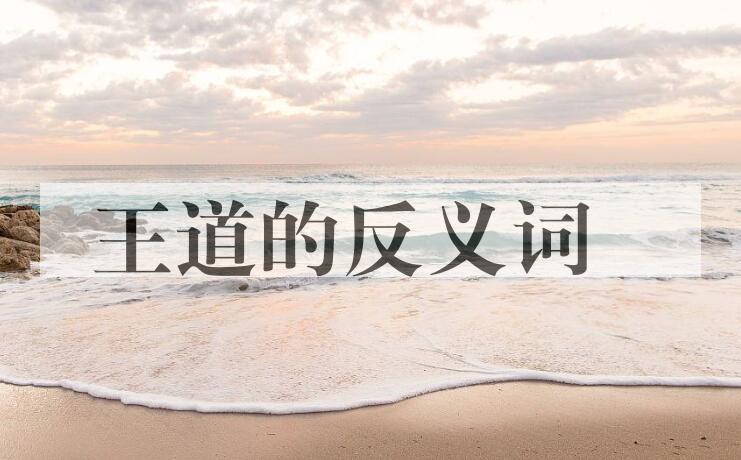 用王道造句