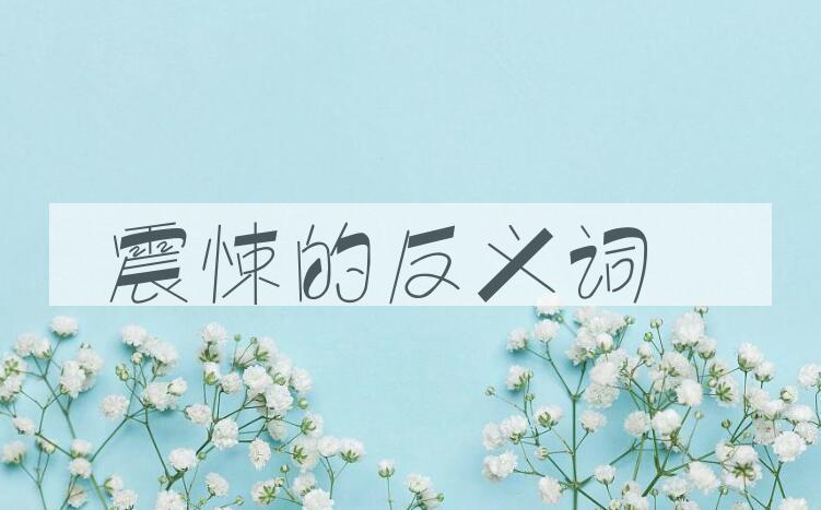 用震悚造句