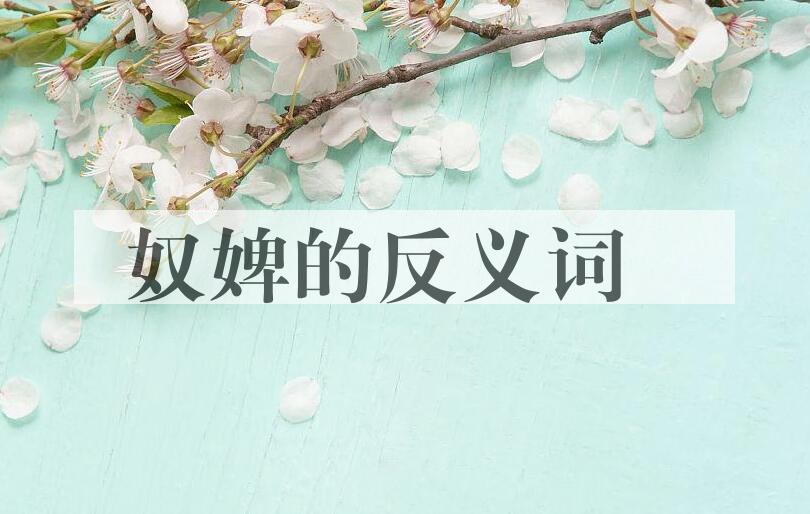 用奴婢造句