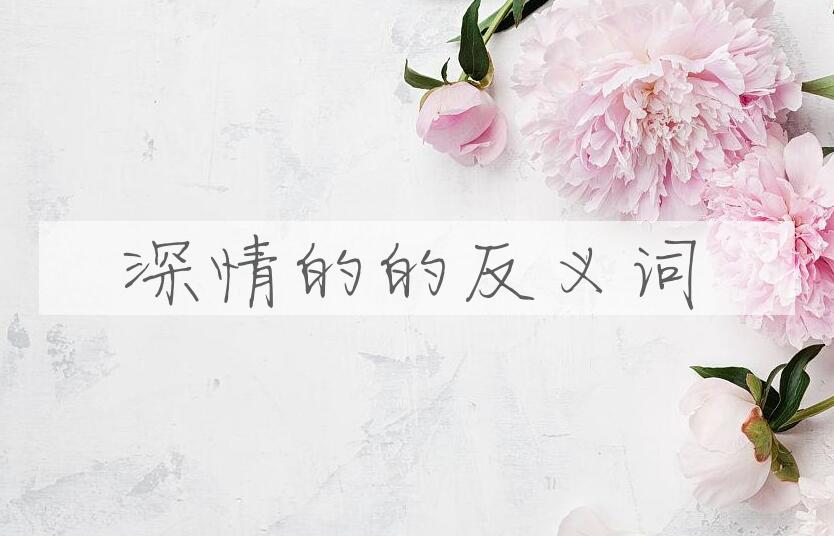 用深情的造句