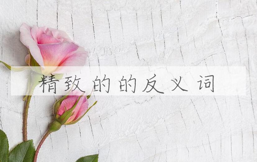 用精致的造句