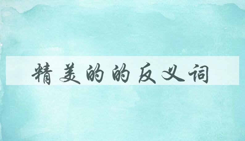 用精美的造句