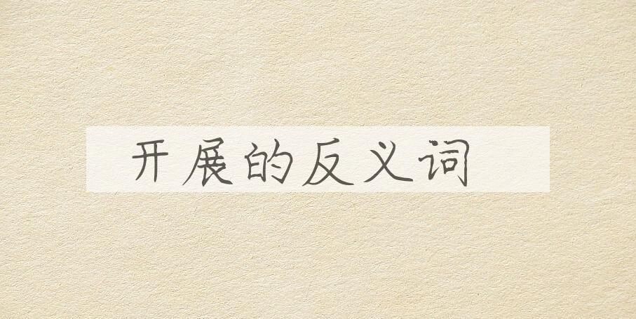用开展造句