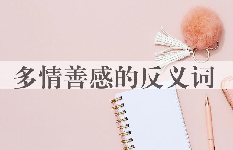 用多情善感造句