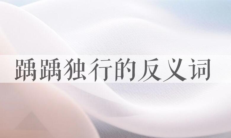 用踽踽独行造句