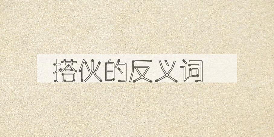 用搭伙造句