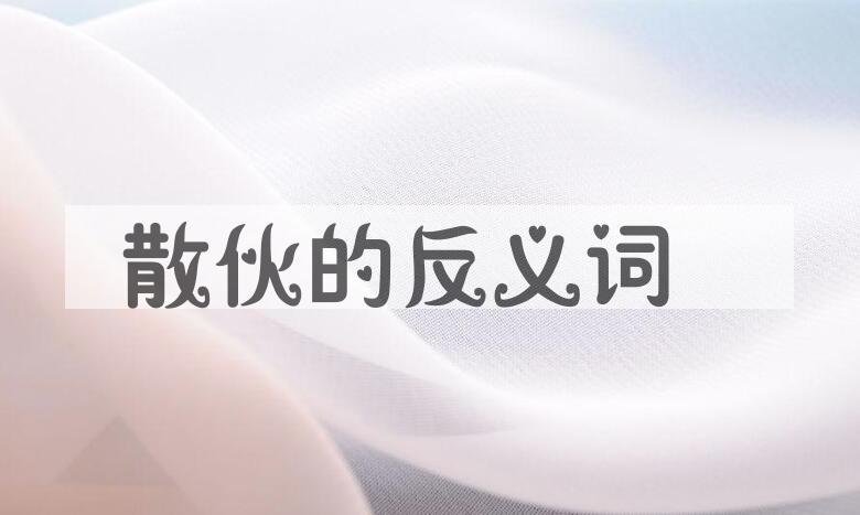用散伙造句