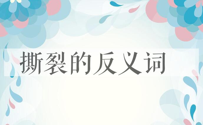 用撕裂造句