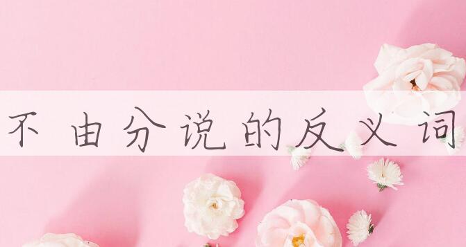 用不由分说造句