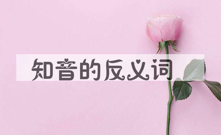 用知音造句