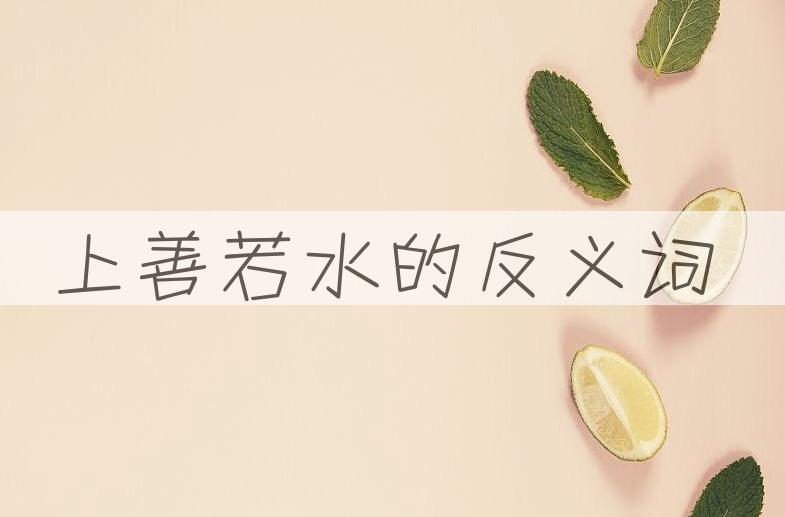 用上善若水造句