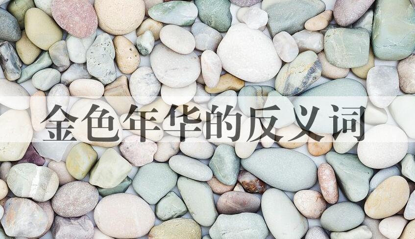 用金色年华造句