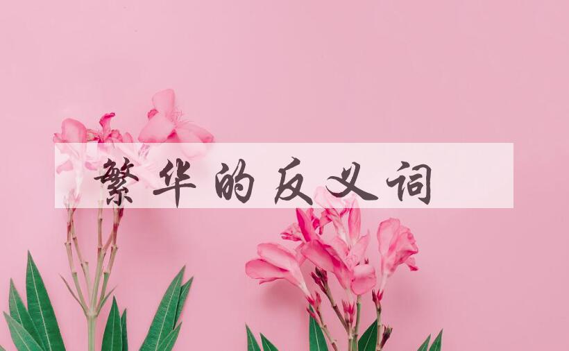 用繁华造句