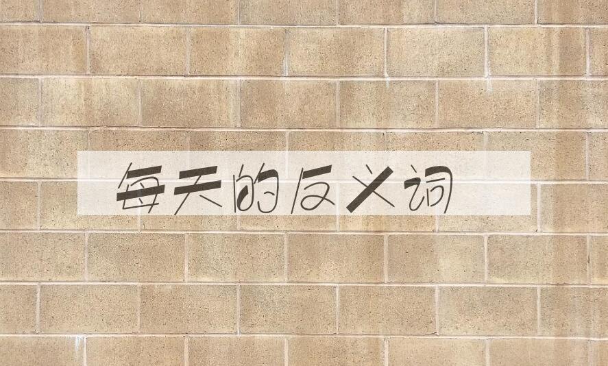 用每天造句