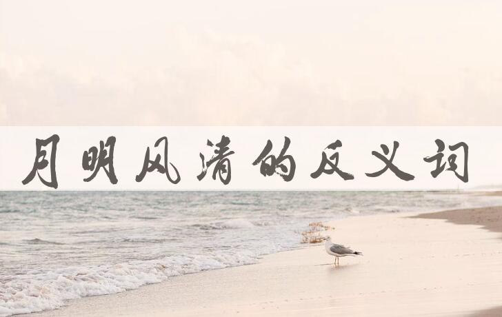 用月明风清造句