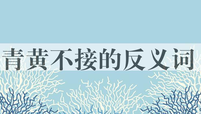 用青黄不接造句