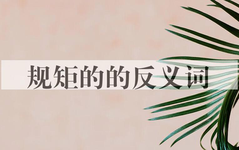 用规矩的造句