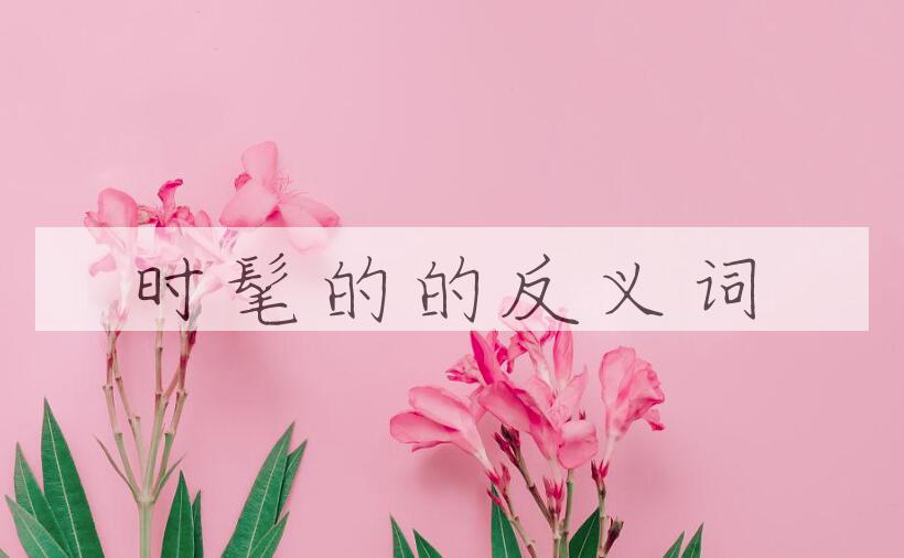 用时髦的造句