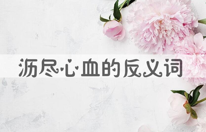 用沥尽心血造句