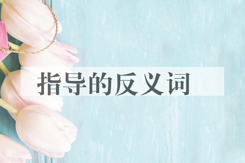 用指导造句