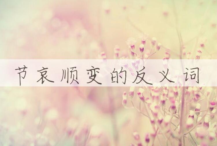 用节哀顺变造句